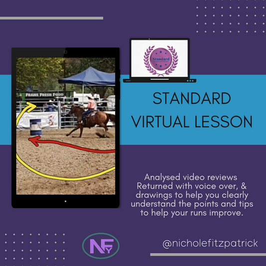 Standard Virtual Lesson