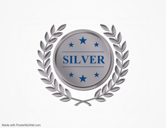 Silver Virtual Package